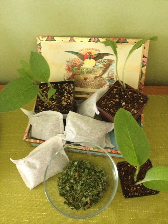 Items similar to Organic Comfrey Herbal Packs Liquid Fertilizer Soil