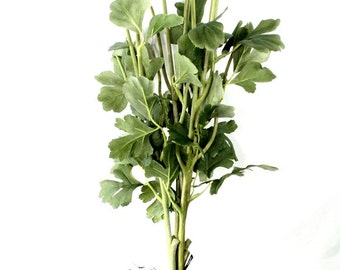 ONE 26" Ranunculus Floral Stem with Foliage/Leaves - Fits 3 FLoWERS PER Stem - Artificial Stems - ITEM 031-1