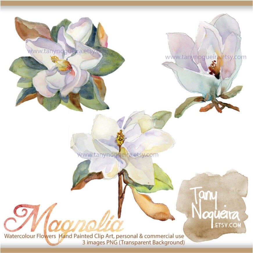 Download Magnolia clip art images watercolor hand painted PNG