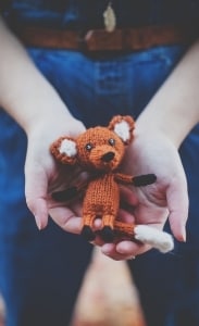 Knit Fox
