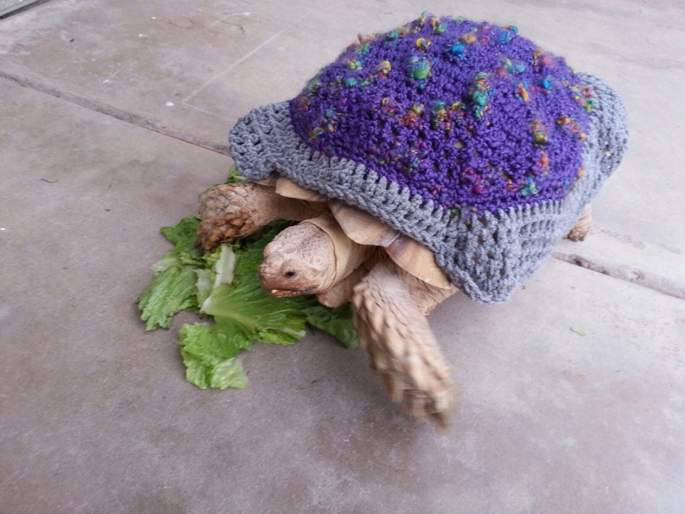 Tortoise Cozy crochet version Made to Order. FREE SHIP in