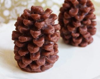 Cinnamon Pine Cone Soap - Woodland Soap, Bath and Beauty, Pinecone Soap, LoveLeeSoaps, Novelty Soap, Soap Favors, Wedding Favors, Teen Gift