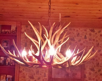 36 inch Real Mule Deer Chandelier, 17 Antler Design, 7 Elk antler covered light sockets.