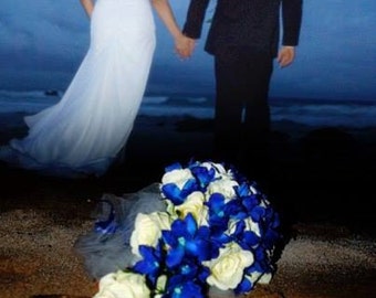 Cascading bridal bouquet with blue dendrobium orchids and roses, choose your orchid