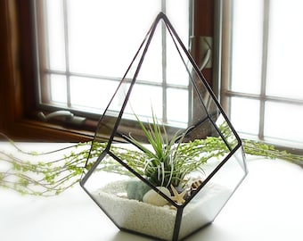 Terrarium, Geometric Terrarium, Glass Planter with Air Plant
