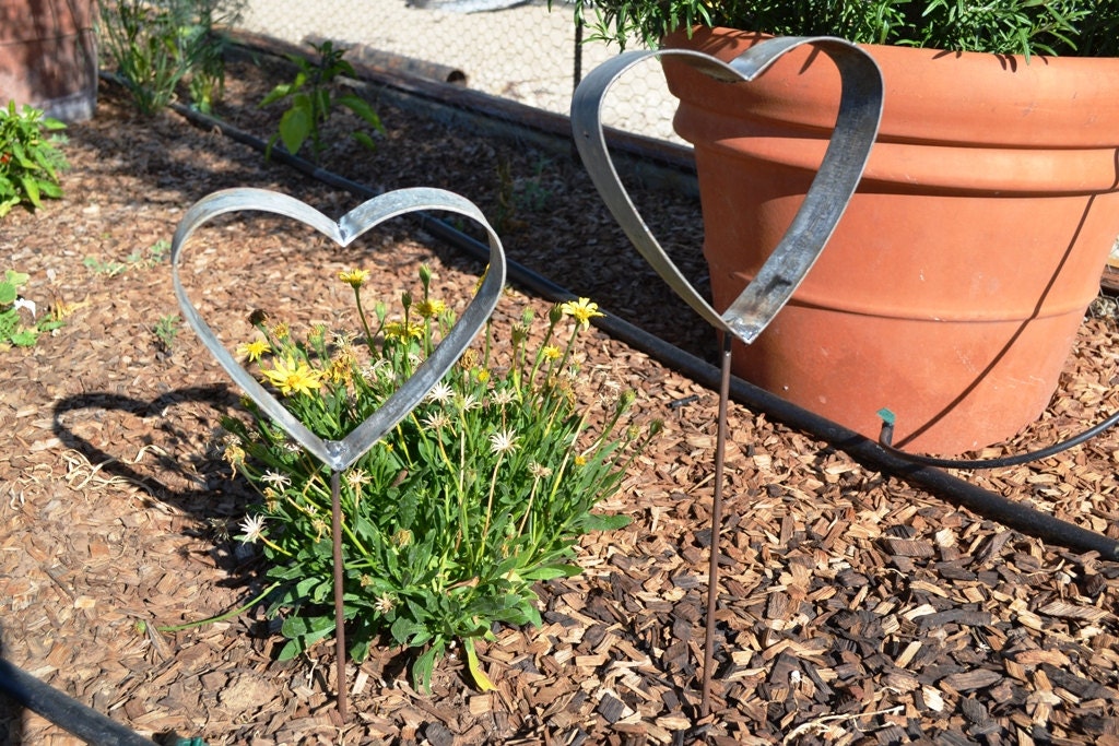 RING ART Jardin Wine Barrel Ring Garden by winecountrycraftsman