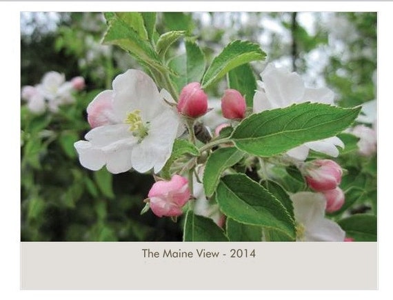 Wall Calendar 2014, Fine Art Photography,The Maine View, Celebrate Beauty Each Month of the Year, FREE SHIPPING in USA