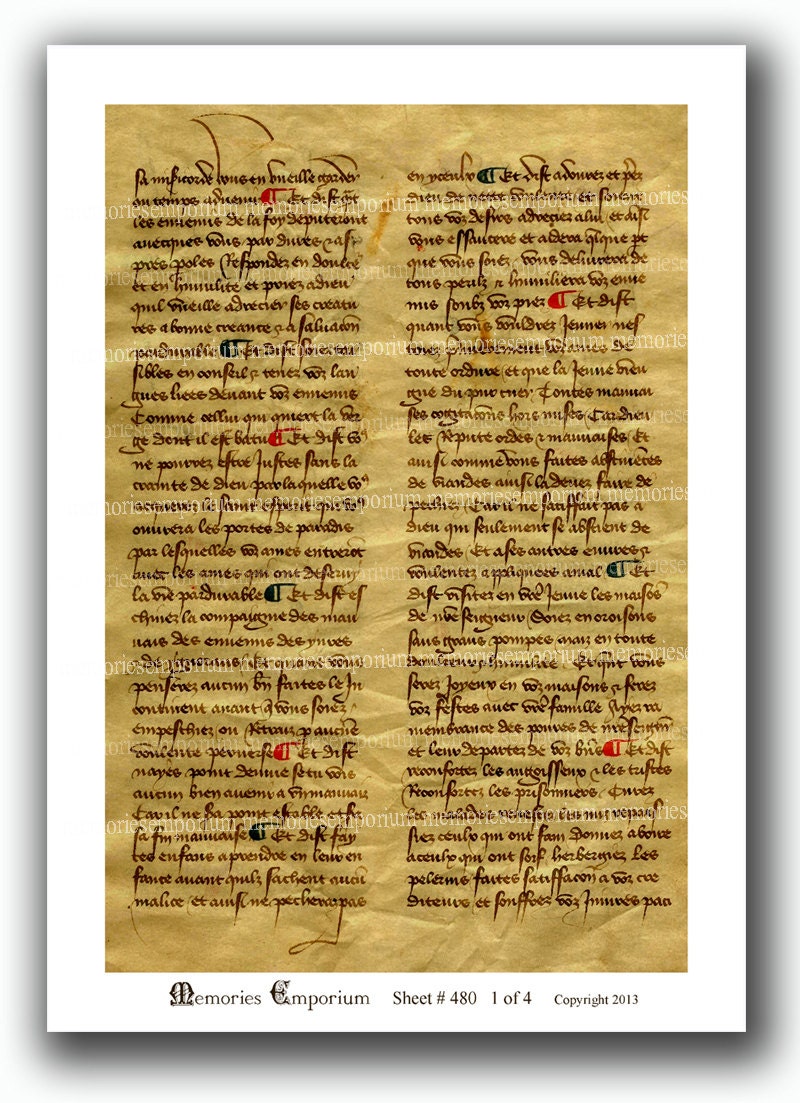 International customs image