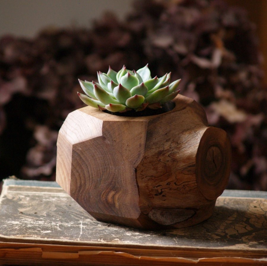Succulent Planter Wood Plant Holder Reclaimed Faceted
