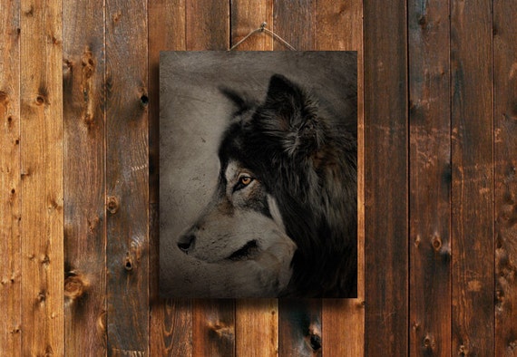 Staring Wolf art Wolf decor Wolf photography Native