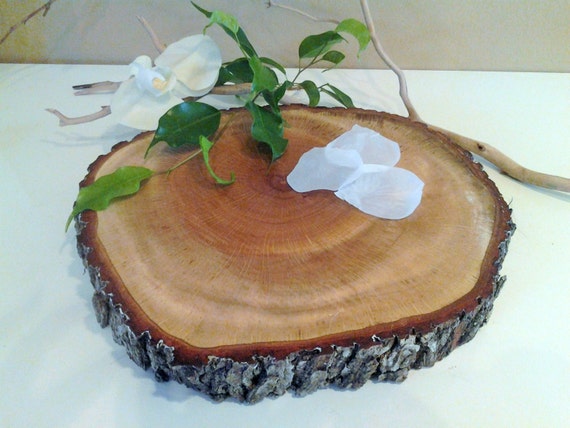 12 Rustic Tree slice Wedding  cake  stand  Wood tree