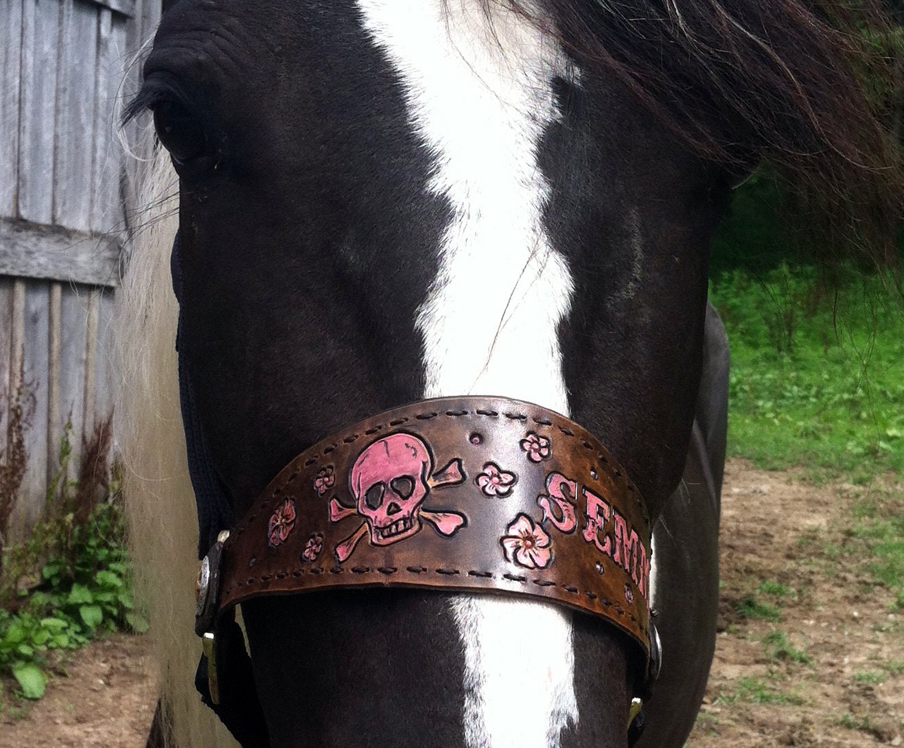 Custom Leather Horse Name Noseband Halter made to order