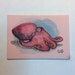 Octopus Original Watercolor Painting ACEO