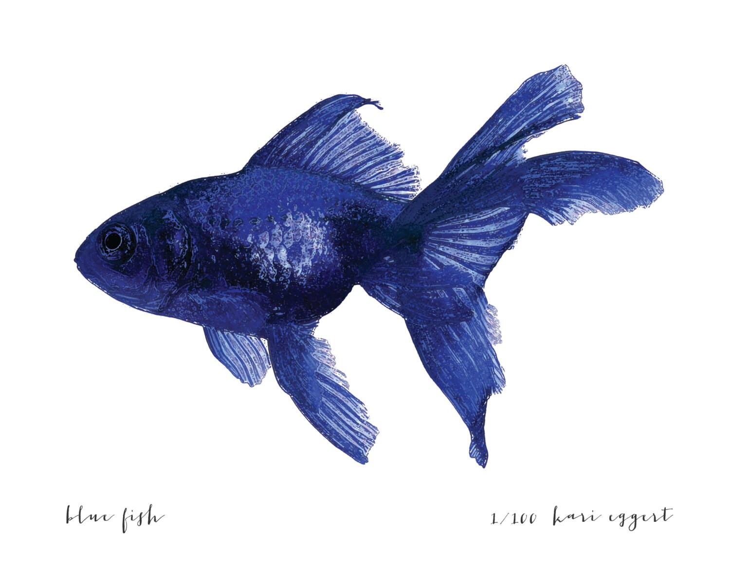 Navy Wall Art Blue Fish Watercolor Painting Print by ColorJar