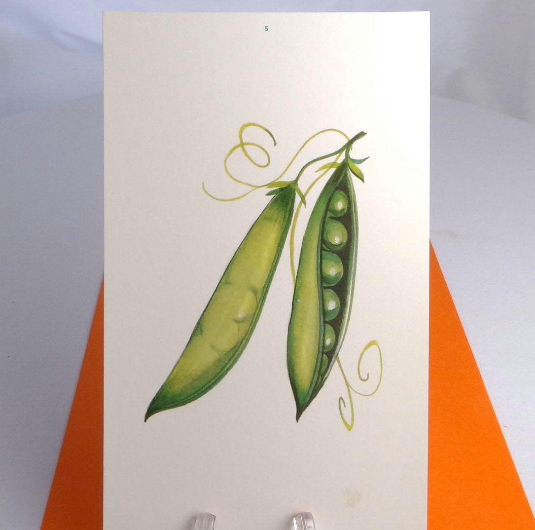 Chandeliers & Pendant Lights