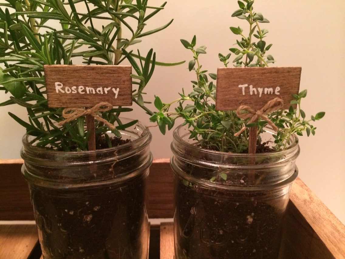 Herb Garden Plant Markers 7 wooden markers with twine bow