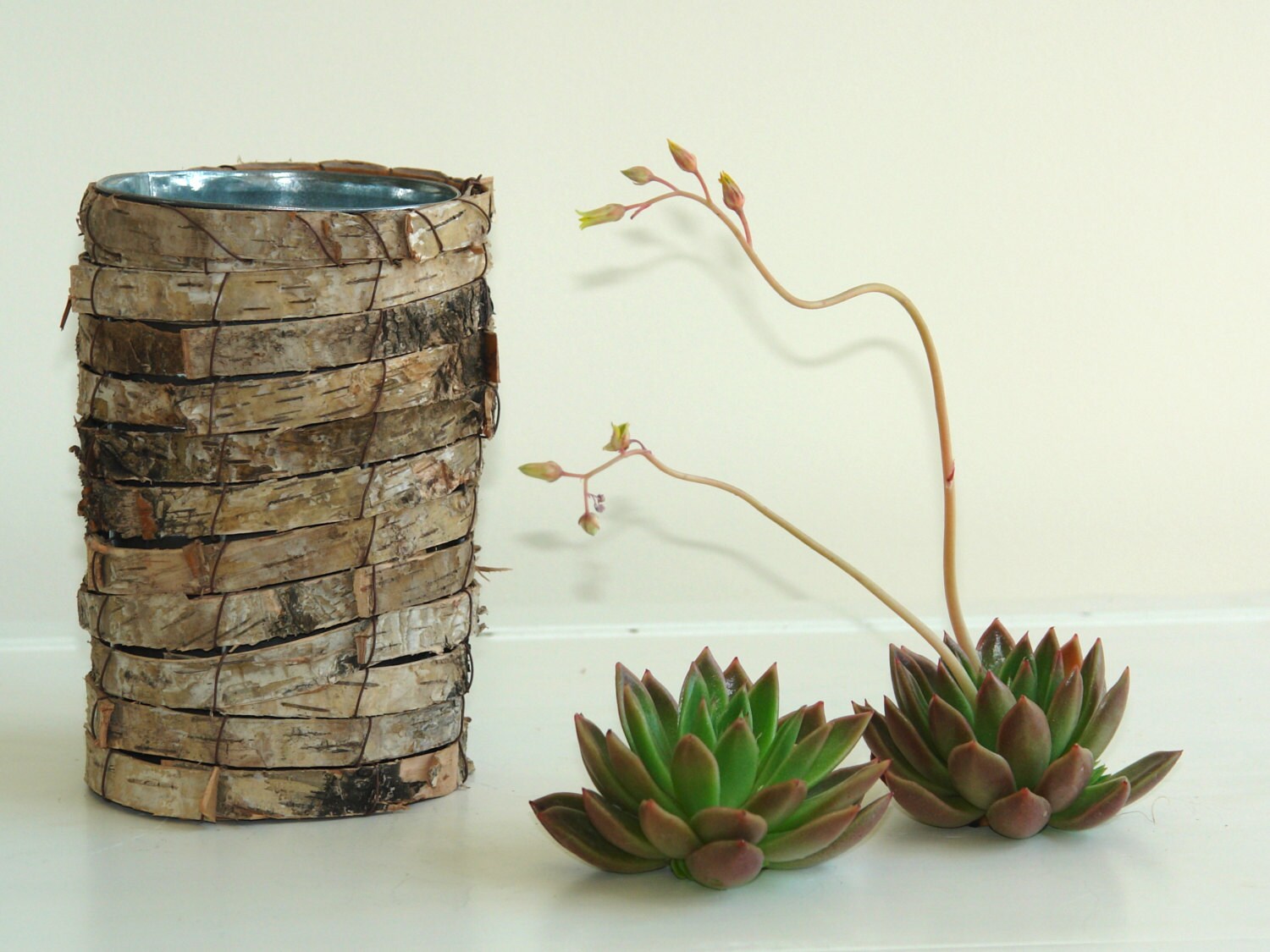 birch bark vases wedding flower pot rustic chic by aniamelisa