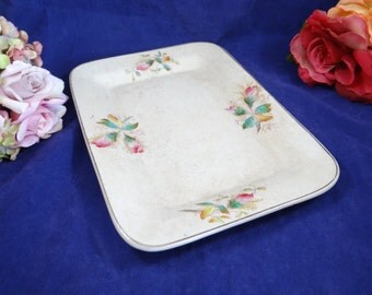 1882 The Potter's Co-operative Co.East Liverpool, Ohio Hand Painted Serving Plate or Platter