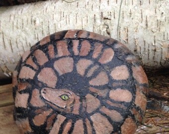 Handpainted Snake River Rock Paperweight