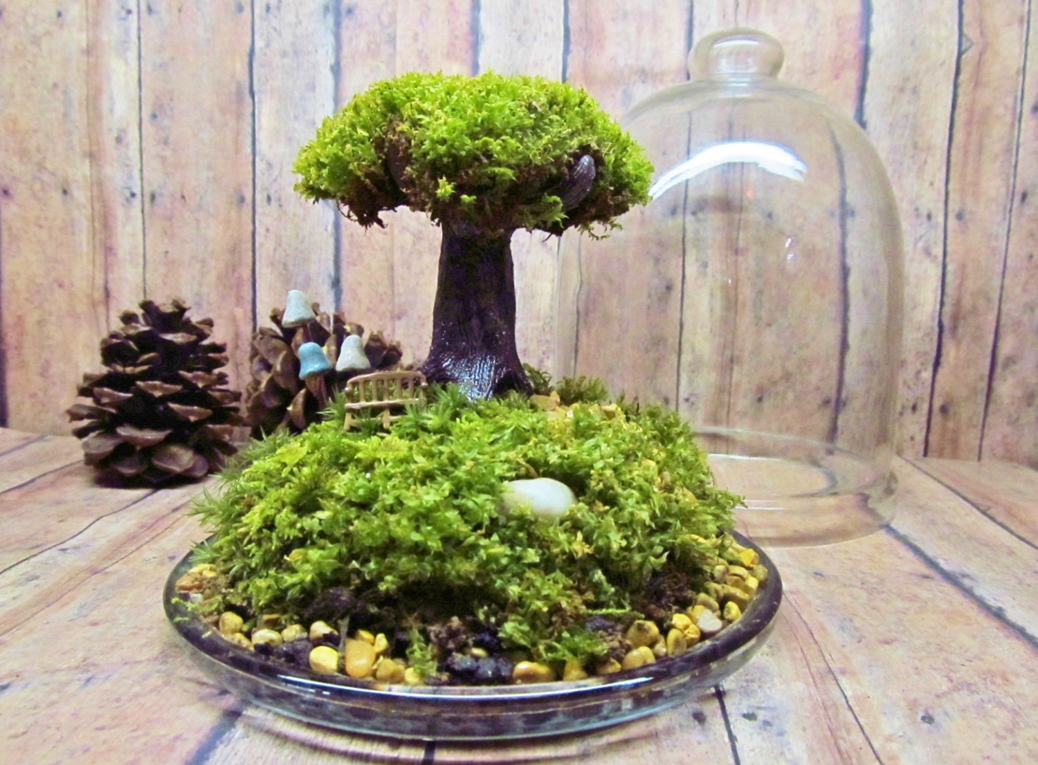 Tree of Life Live Moss Tree Terrarium Fairy Garden