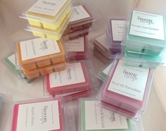 Holiday Season Special Offer - 8 pks Fall and Holiday Soy Wax Melts