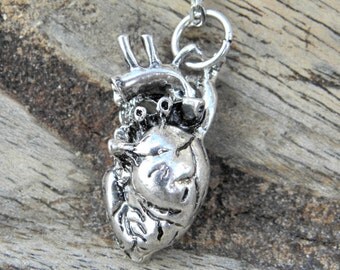 anatomic heart pendant, resin