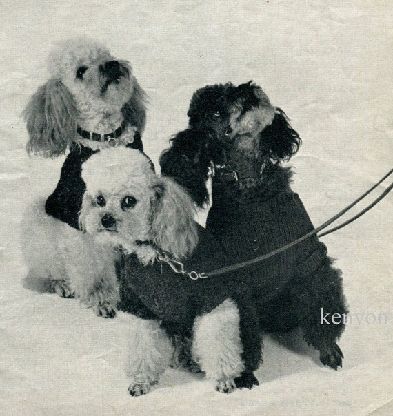INSTANT Download DOG COAT Knitting Pattern For by KenyonBooks