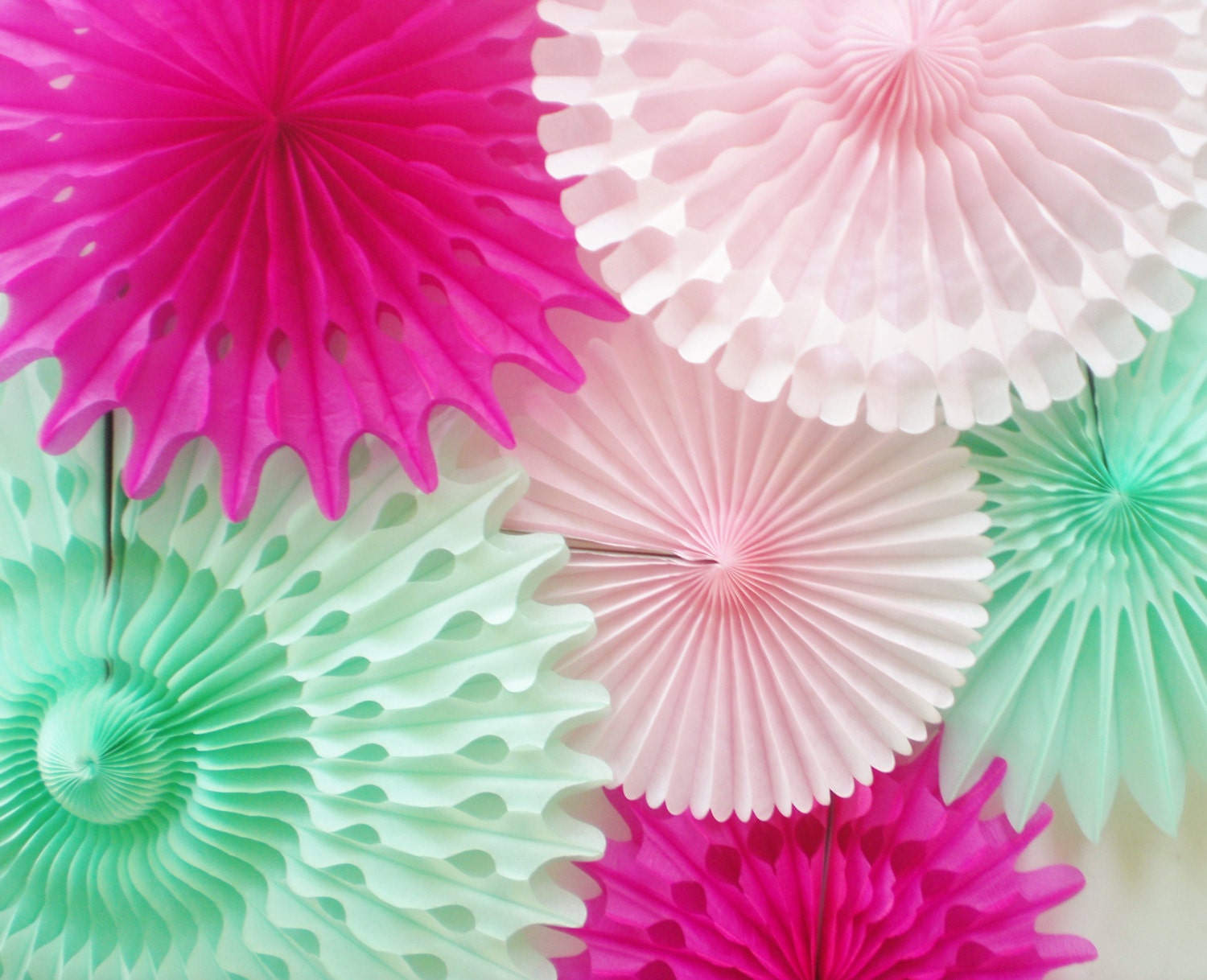 XL mint green pink tissue fans for pinwheel backdrop for