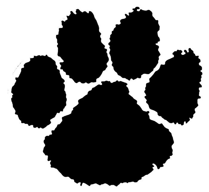 Tiger Paw Print School Sports 5 inch Vinyl Decal Perfect for