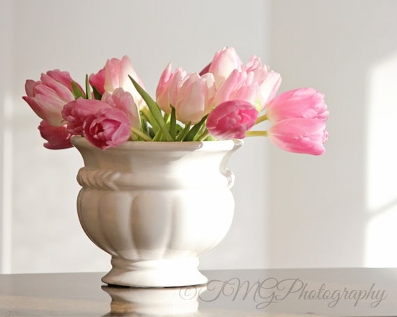 Pink Tulips in Sunlight, Photo Print and Wall Art