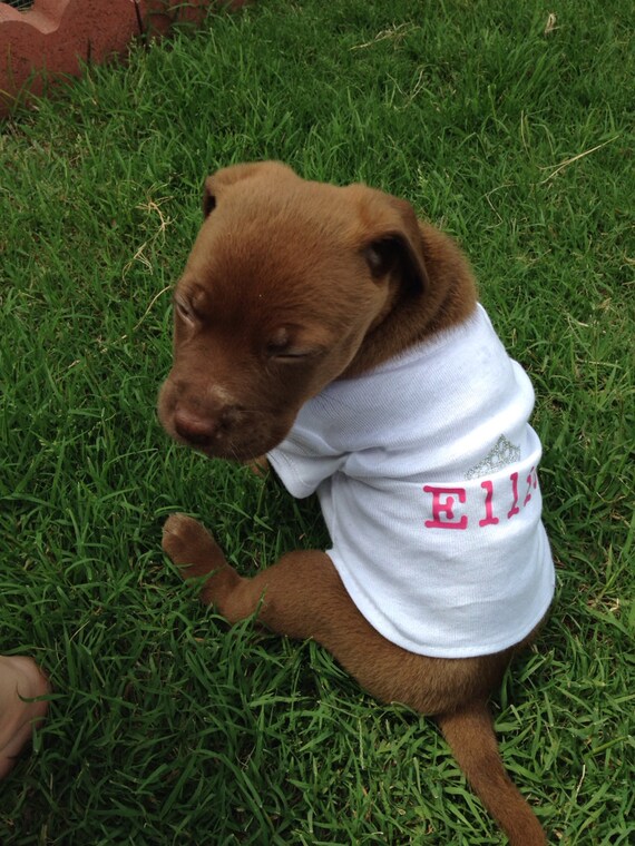 Items similar to Dog clothes, dog shirt, dog onesie, personalized dog