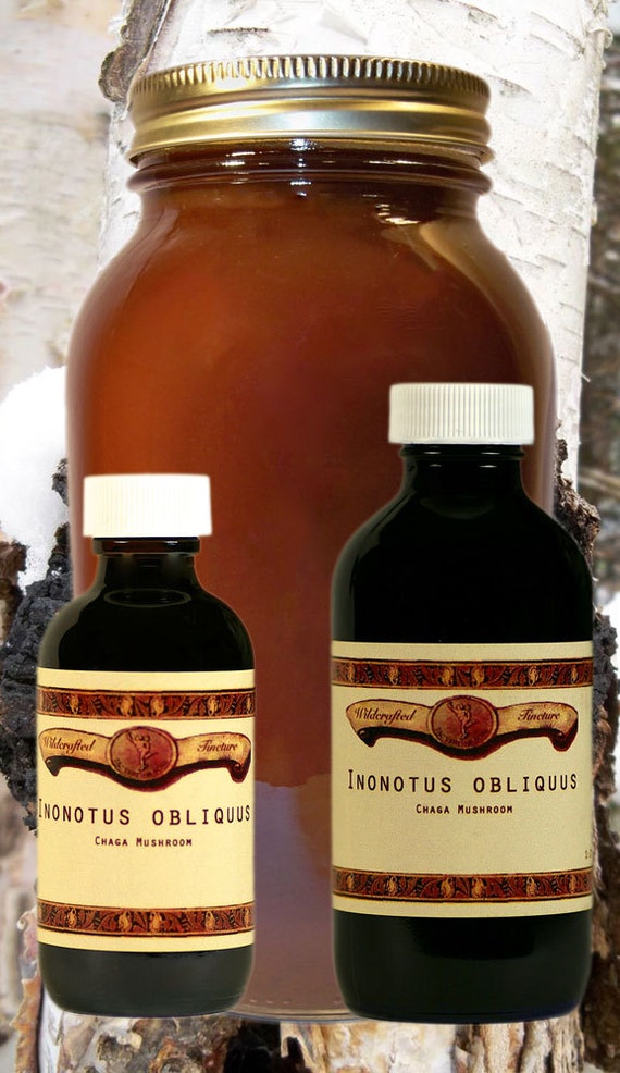 Chaga Mushroom Extract Tincture by WildcraftedTincture on Etsy