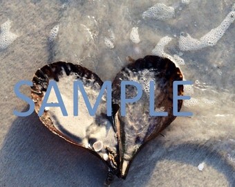 Popular items for heart shaped shell on Etsy