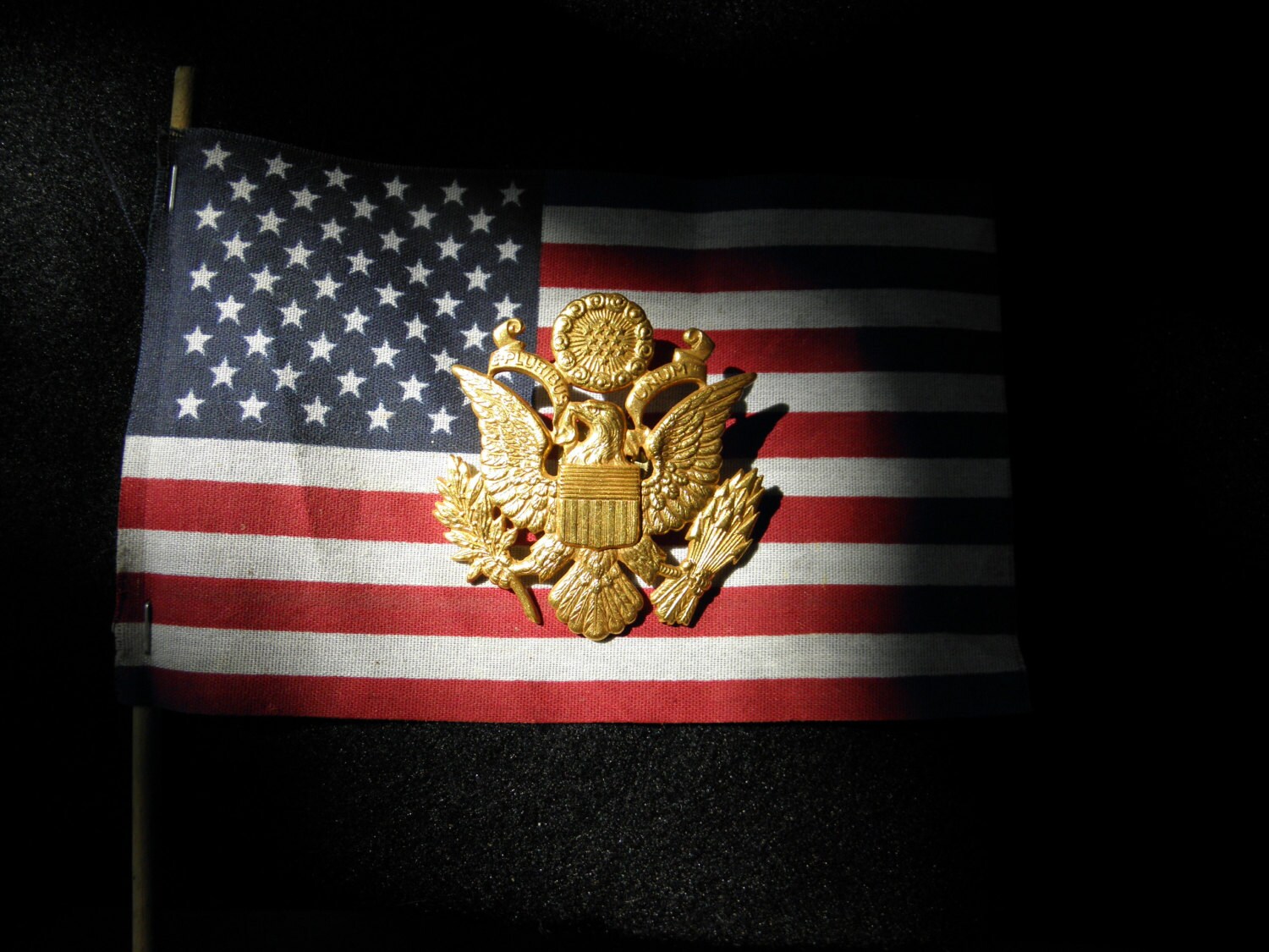 Vintage WWII US Army Brass Officer's Hat Insignia