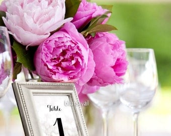4x6" - Printable silver table numbers 1-40, wedding table numbers, black & silver wedding, winter wedding table numbers -wed009 Norah