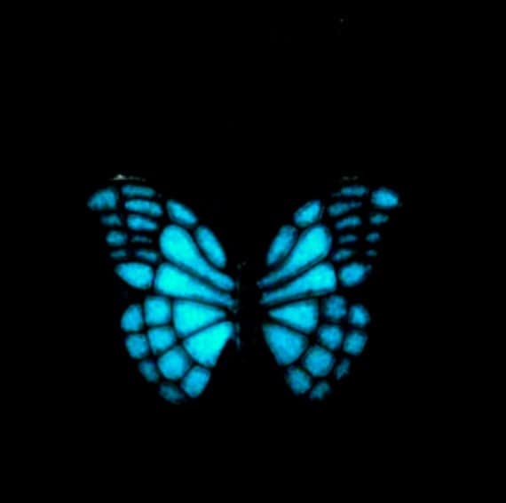 Butterfly Necklace Glow In The Dark Butterfly by glowingjewelry