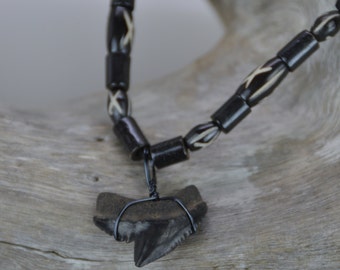 Tiger Shark Tooth Necklace