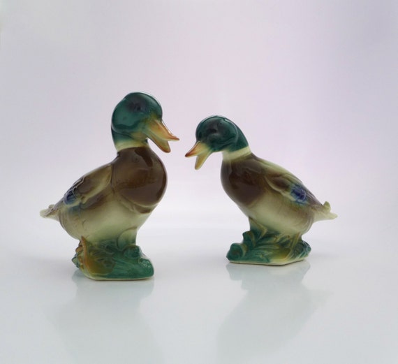 royal copley mallard ducks