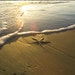 Sand Sea
