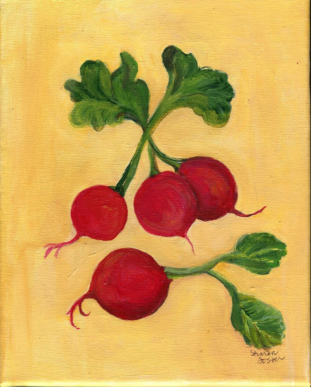 Radishes painting original food art 8 x 10 by SharonFosterArt