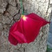 Casey Dep
