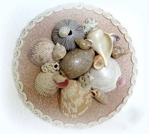 Beach Shell Art Beach Wall Decor Beach Wall Hanging Beach Wall