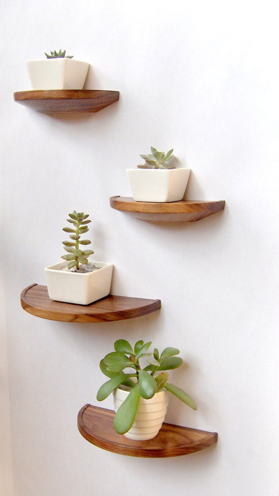 Half round walnut shelf - floating wood shelf