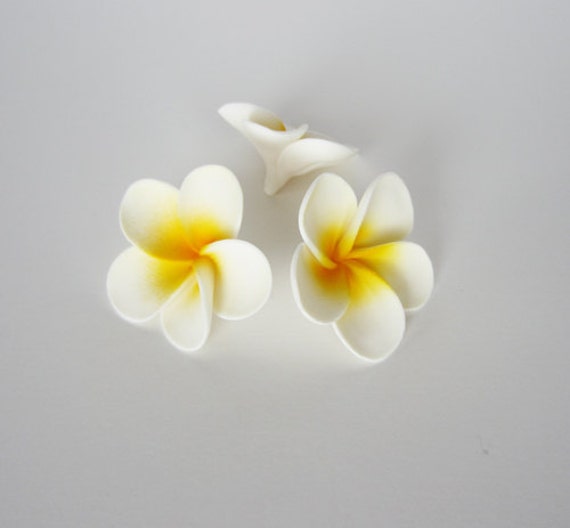Items similar to edible sugar plumeria flowers small white and yellow