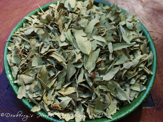 LUO BU MA Ye European Dogbane Leaf Traditional by DewberrysHerbal