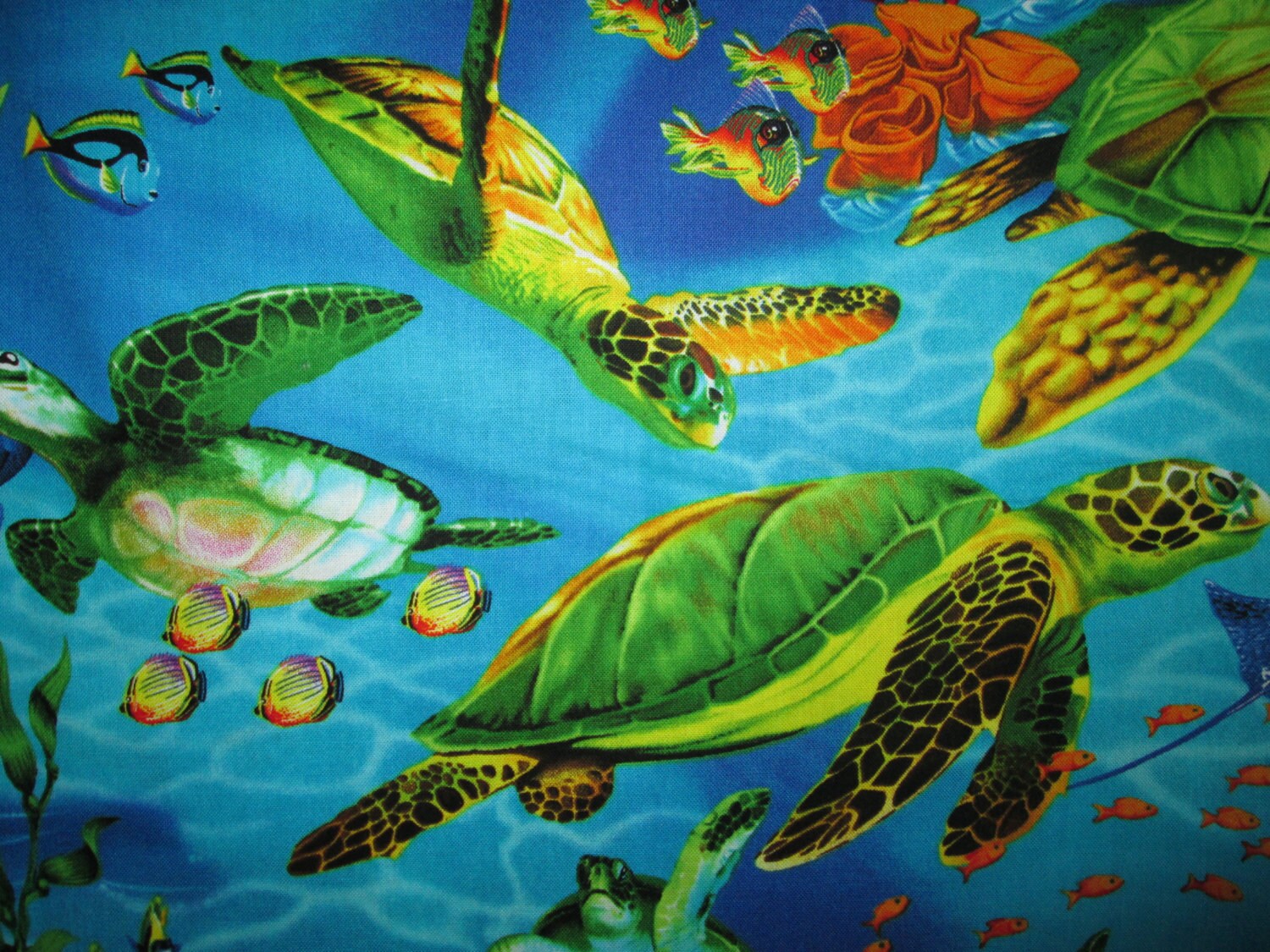 Sea Turtle Realistic Turtles Cotton Fabric Fat Quarter or