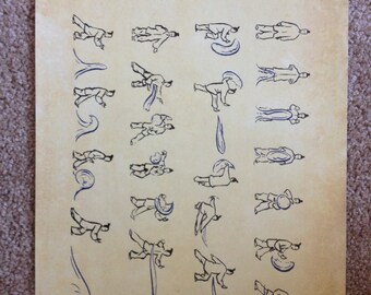Avatar the Last Airbender - Water Scroll Poster