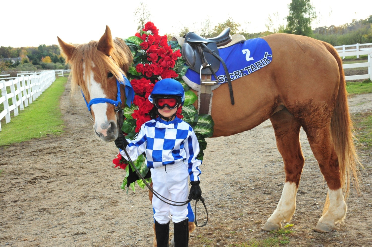 Special Order Only. Secretariat Jockey Silk by littlestjockey