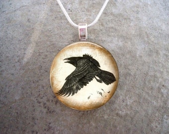 Crow Jewelry - Bird Jewellery - Glass Pendant Necklace - Raven 14