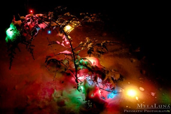 Items similar to Charlie Brown Christmas Tree, Rainbow Lights in the Snow, Winter, Seasonal ...